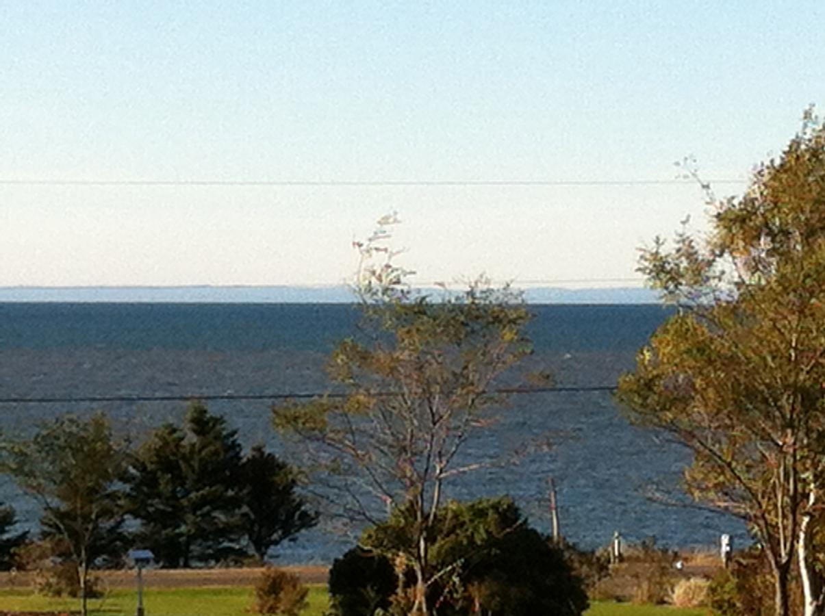 Rocky Shores & Seals Cottages Middleton Room photo